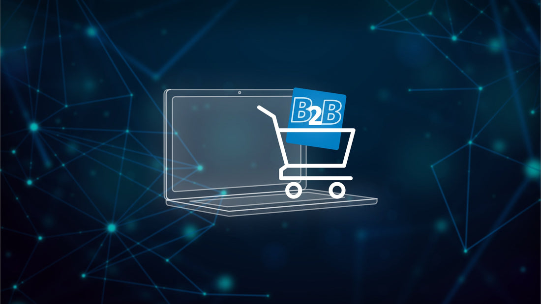 E-commerce B2B: El salto estratégico a la Venta Digital Mayorista